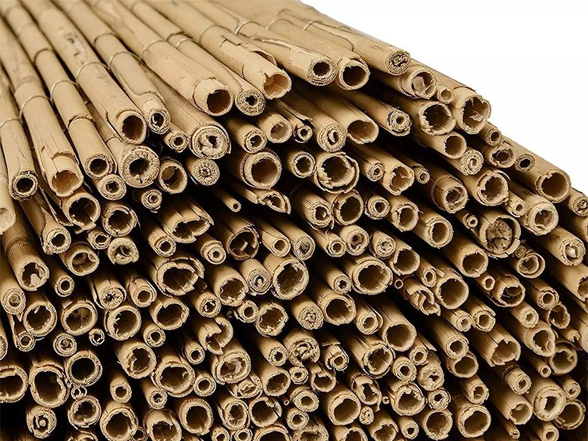 Arella di Canniccio Legato - Sconti per Fioristi e Aziende . - Canna intera H 300 x 3 metri