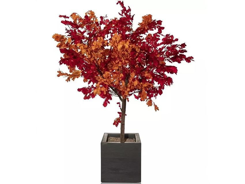 Quercia Naturale Stabilizzata  - Sconti per Fioristi e Aziende - Busta Kg.1 Rami H 90/100