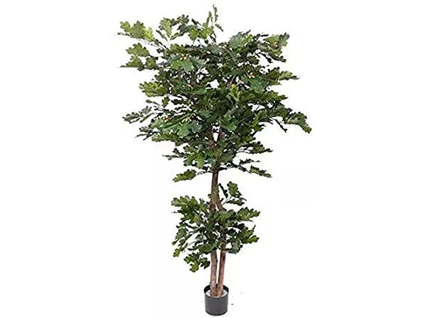 Quercia Naturale Stabilizzata  - Sconti per Fioristi e Aziende - Busta Kg.1 Rami H 90/100