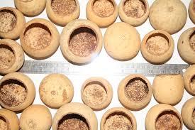 Mini Bell Cups Kurchi Ftuit  - Sconti per Fioristi e Aziende - gr.250