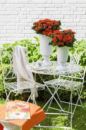 Calanchoe bush x 5 in poliester - Sconti per Fioristi e Aziende - Vari colori