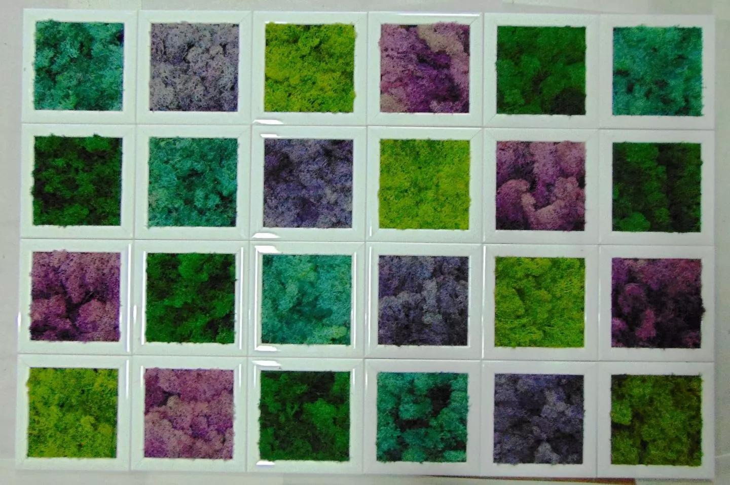 Quadro moss cm. 20 x 20 - Sconti per Fioristi e Aziende . - Head o Flat work