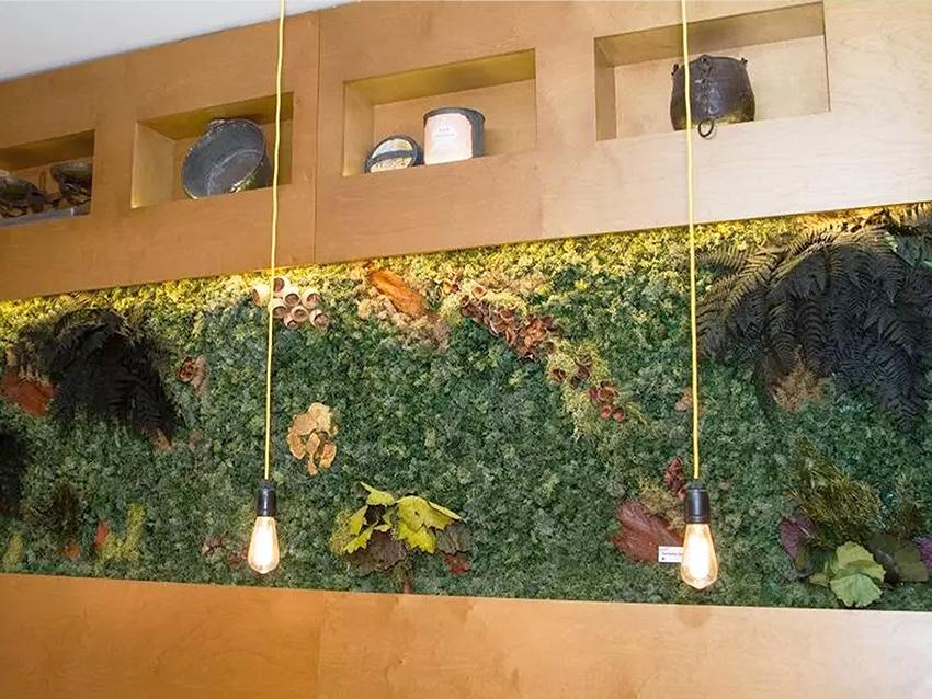 Giardini Vegetali Preservati - Sconti per Fioristi e Aziende - Adatto per Interno