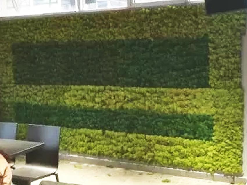 Parete Moss Stabilizzata  - Soluzione personabilizzabile - per eventi e interior designer