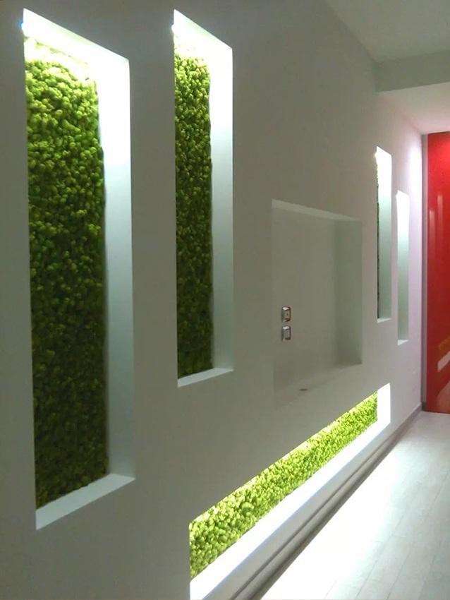 Parete Moss Stabilizzata  - Soluzione personabilizzabile - per eventi e interior designer