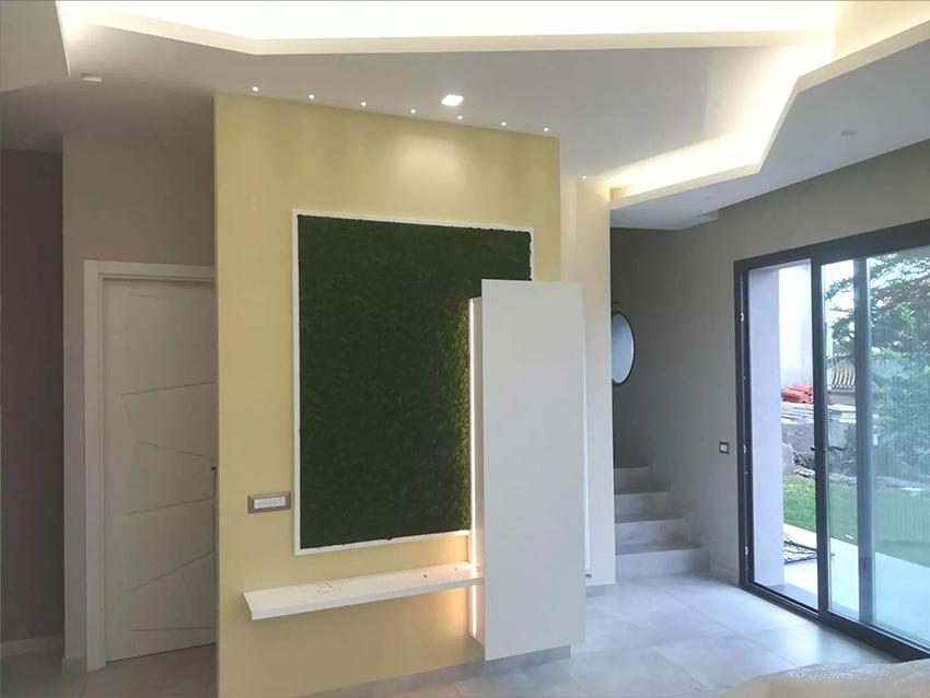 Parete Moss Stabilizzata  - Soluzione personabilizzabile - per eventi e interior designer