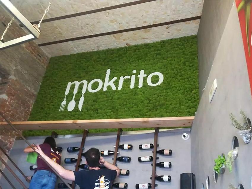 Parete Moss Stabilizzata  - Soluzione personabilizzabile - per eventi e interior designer