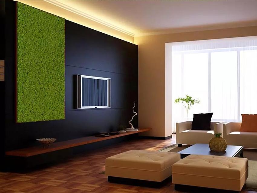 Parete Moss Stabilizzata  - Soluzione personabilizzabile - per eventi e interior designer