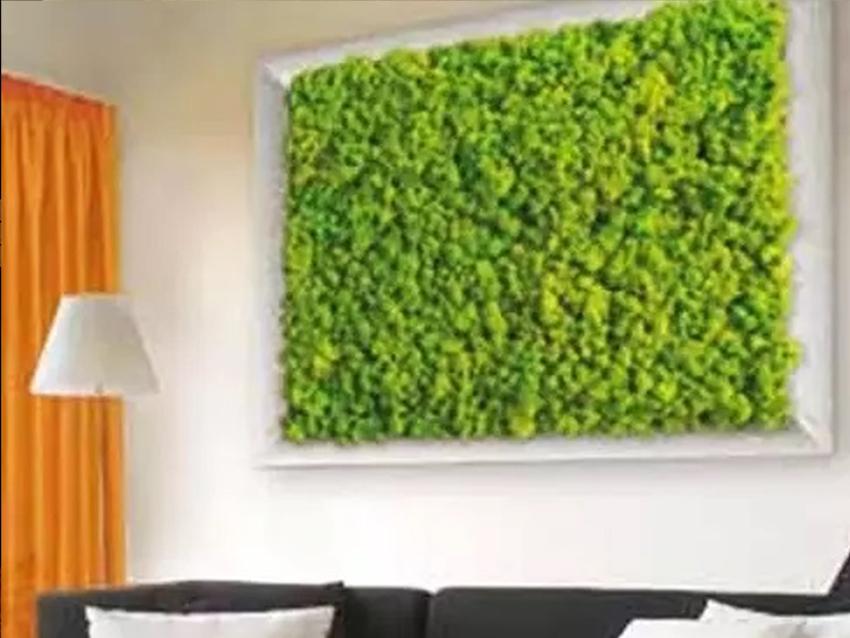 Parete Moss Stabilizzata  - Soluzione personabilizzabile - per eventi e interior designer