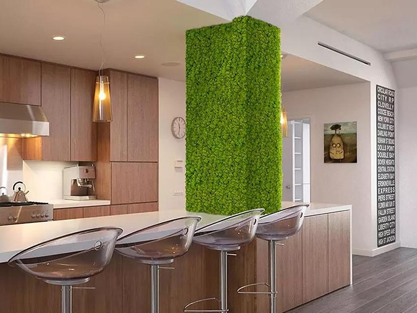 Parete Moss Stabilizzata  - Soluzione personabilizzabile - per eventi e interior designer