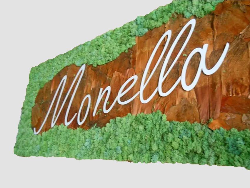Parete Moss Stabilizzata  - Soluzione personabilizzabile - per eventi e interior designer