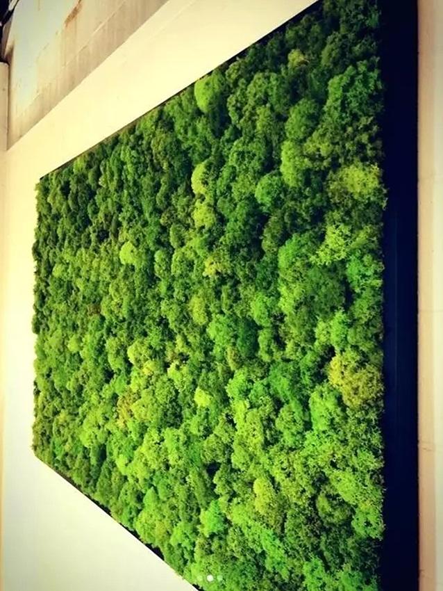 Pannello Moss in Flat Work  - Soluzione personalizzabile per eventi e interior designer