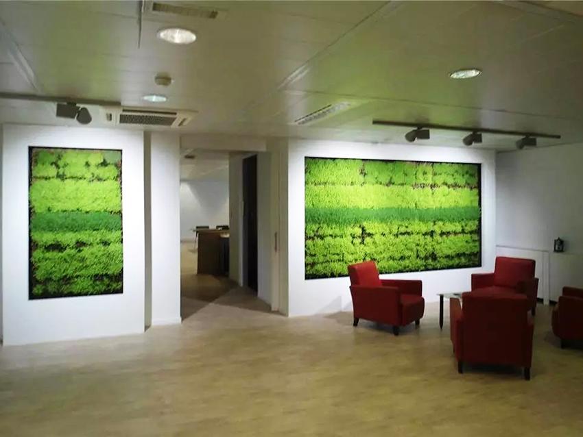 Pannello Moss in Head Work - Soluzione personalizzabile - per eventi e interior designer