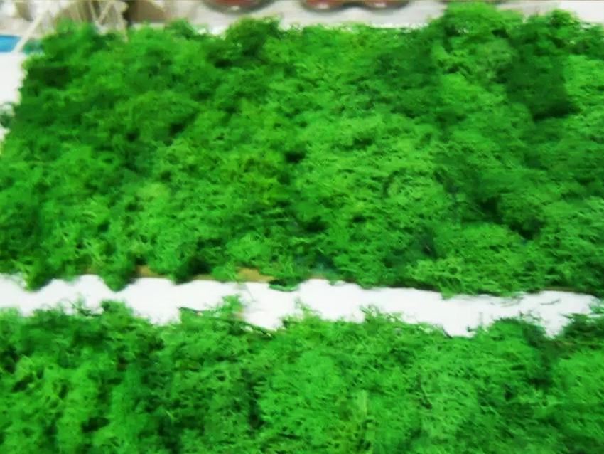 Pannello Moss cm. 40 x 80  - Soluzione personalizzabile - per ogni esigenza d'arredo interno