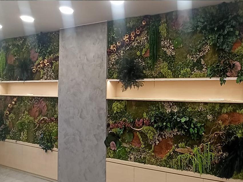 Giardini Vegetali Preservati - Sconti per Fioristi e Aziende - Adatto per Interno