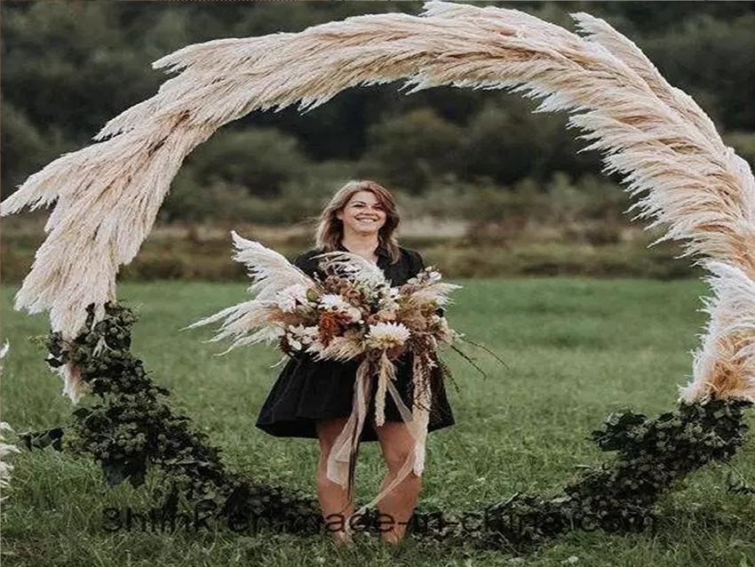 Pampas Naturale H 170 Sbiancata - Sconti per Fioristi e Aziende - San  Michele di Ganzaria (Catania)