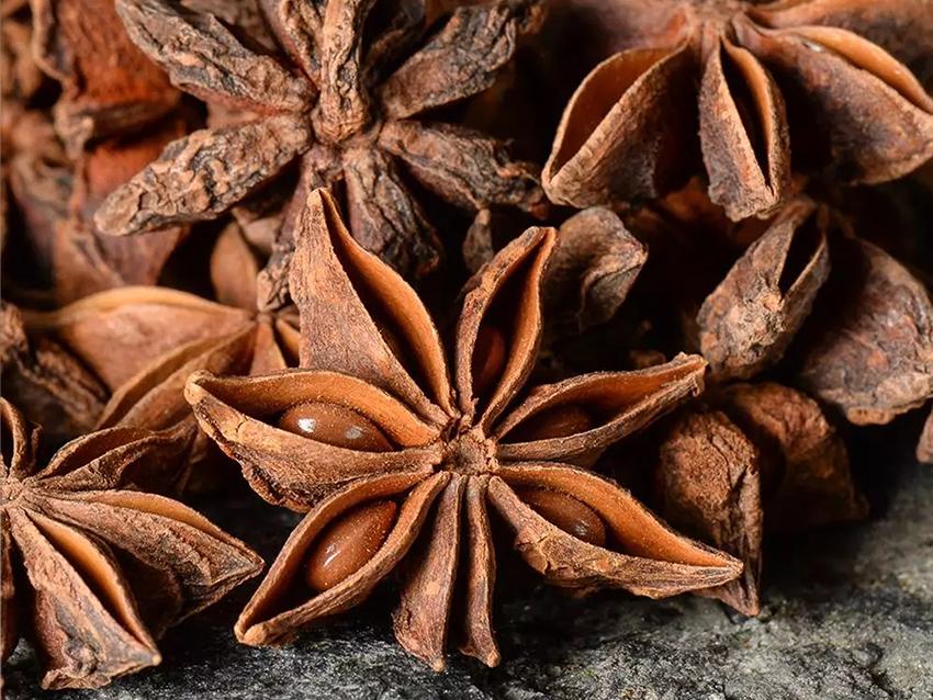Anice stellato da gr. 100 - Sconti per Fioristi e Aziende Naturale