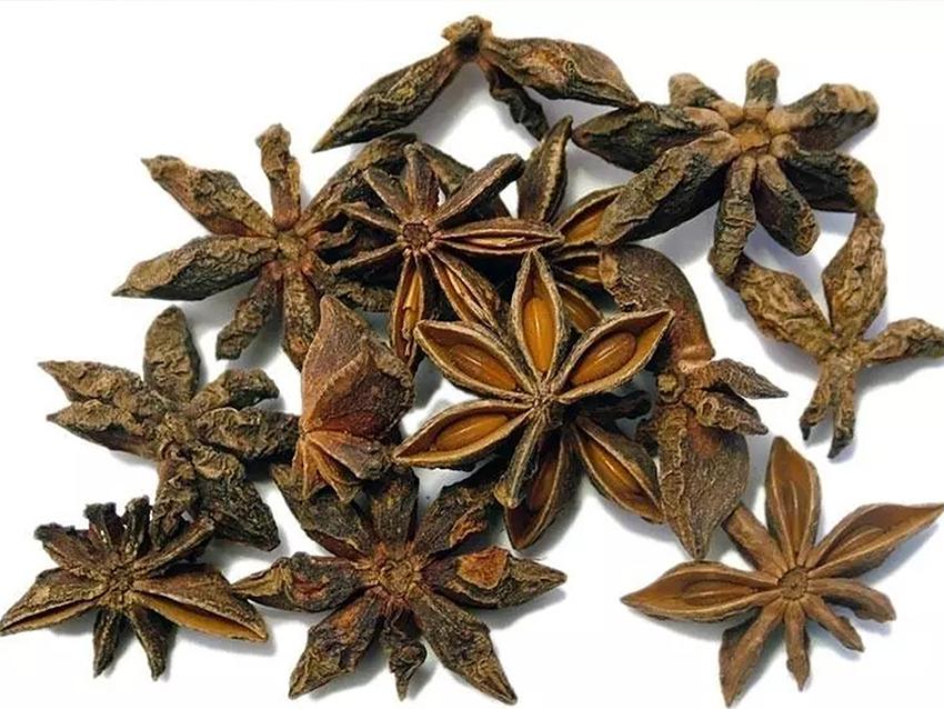 Anice stellato da gr. 100 - Sconti per Fioristi e Aziende Naturale