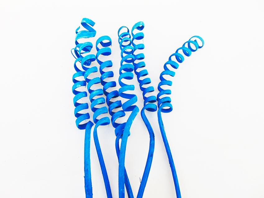 Cane Spring x 8 Naturale Colorato - Sconti per Fioristi e Aziende - H 60/70 cm.