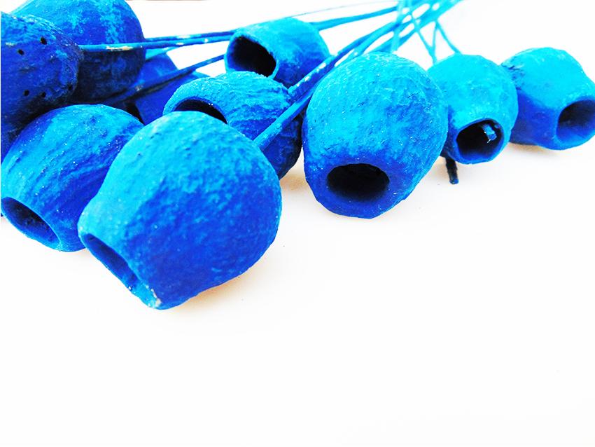 Capsule di Eucaliptus Naturale steccate e stabilizzate - Sconti per Fioristi e Aziende