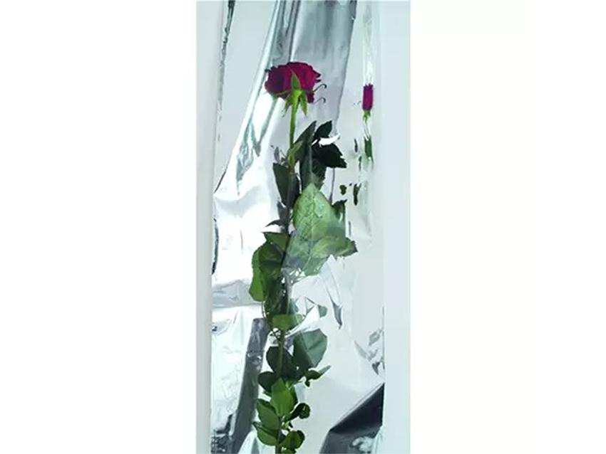 Busta per Rosa H 16 x 100 - Confezione da 100 buste - Tutta Trasparente