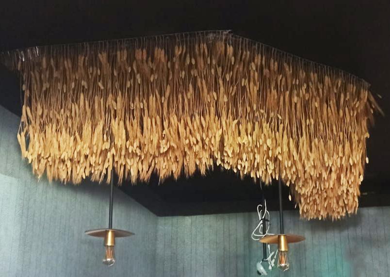 Soffitto Spighe di grano preservate a metro quadrato per Ristoranti, Hotels e Resort