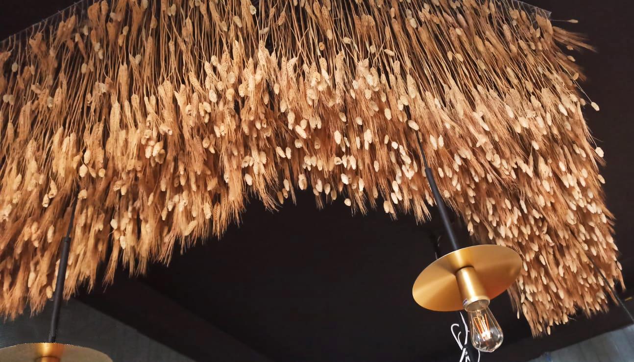 Soffitto Spighe di grano preservate a metro quadrato per Ristoranti, Hotels e Resort