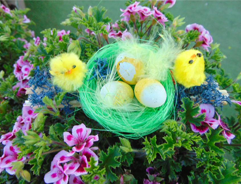 Set di 6 crescere il tuo pulcino uova da cova Animale Novità-regalo di Pasqua 