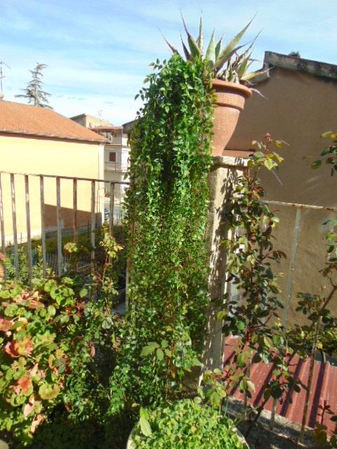 Ruscus cadente x 9 H 160 - Sconti per Fioristi e Aziende . - Artificiale