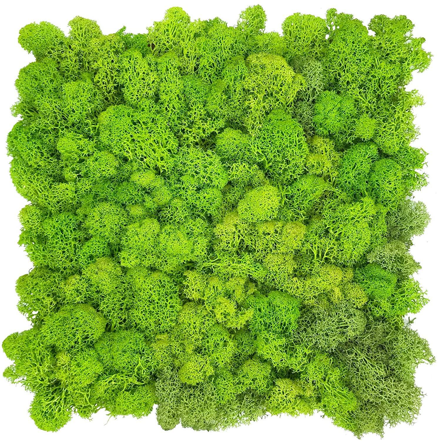 Pannello Moss cm. 80 x 120  - Soluzione personalizzabile - per ogni esigenza d'arredo interno