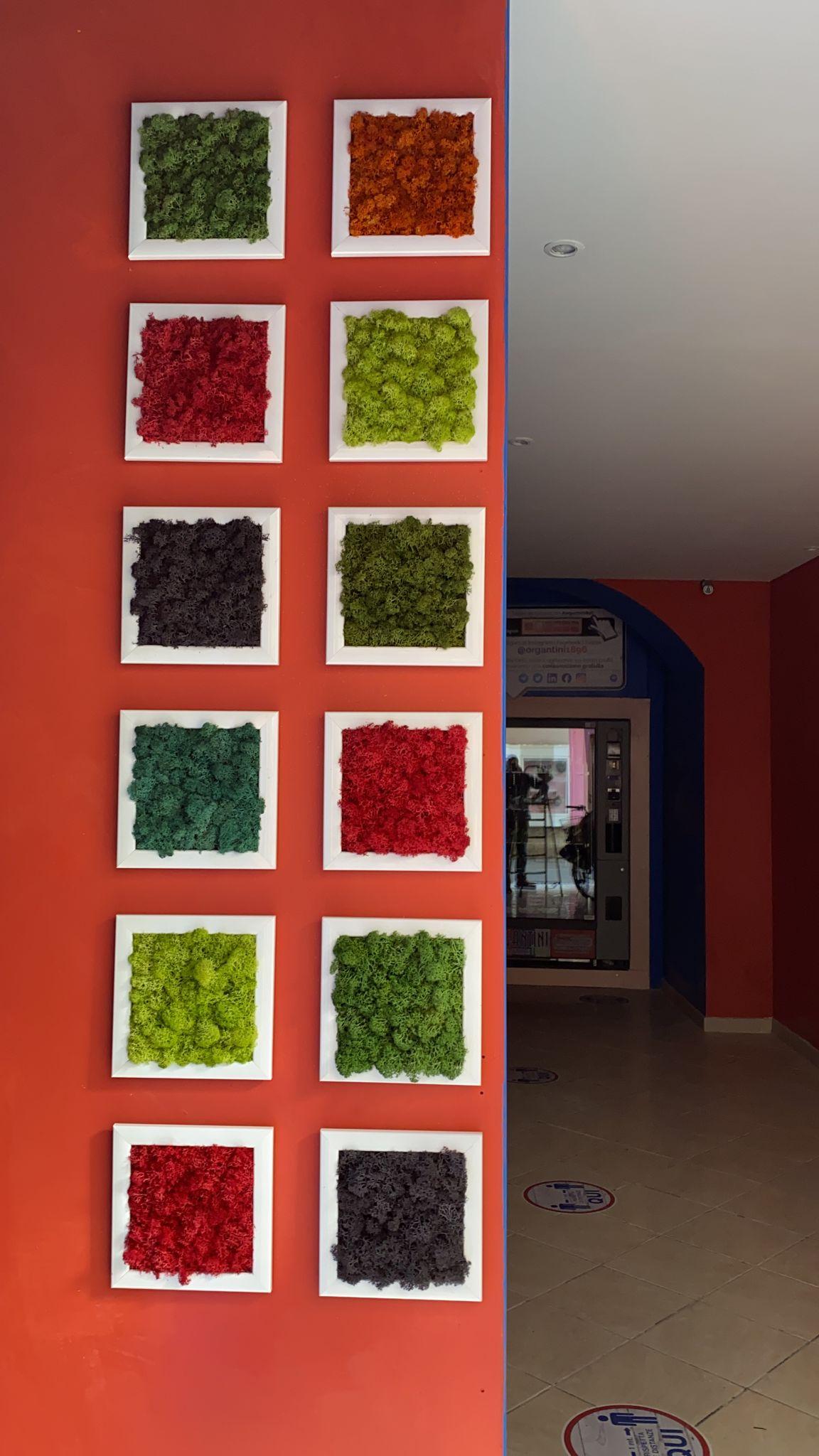 Pannello Moss cm.20 x 20  - Soluzione personalizzabile - per ogni esigenza d'arredo interno