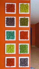 Pannello Moss cm.20 x 20  - Soluzione personalizzabile - per ogni esigenza d'arredo interno