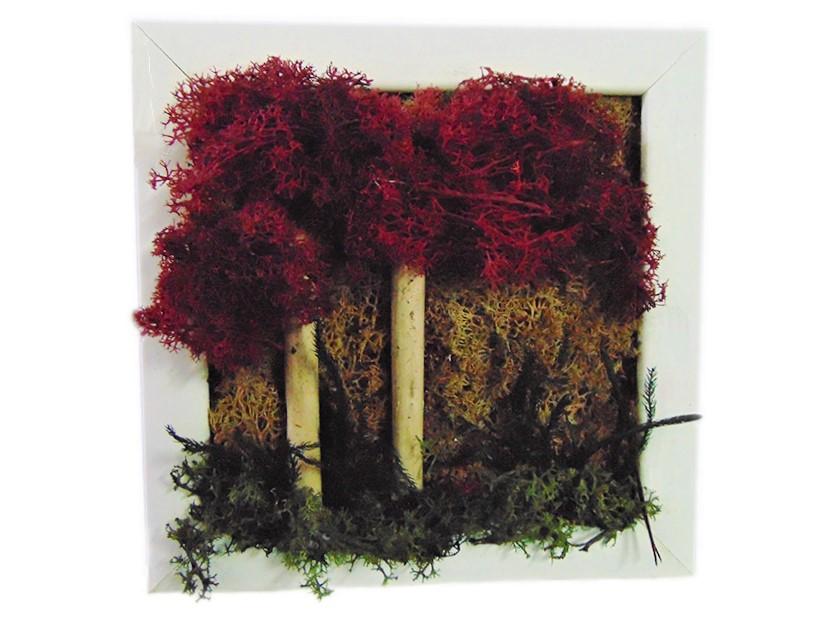 Quadro muschiato alberi  - Sconti per Fioristi e Aziende . - cm. 20 x 20