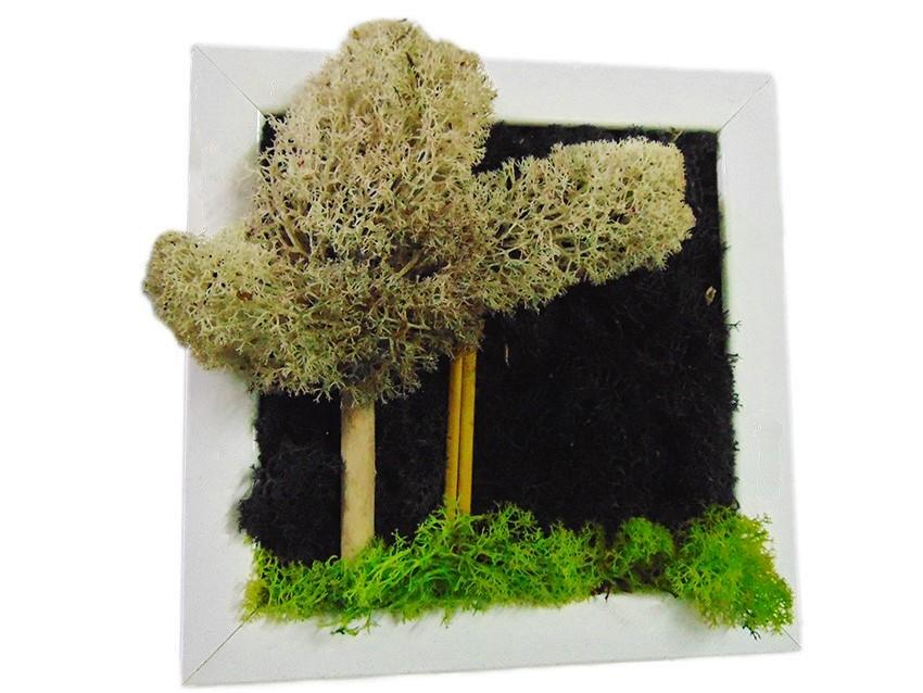 Quadro muschiato alberi - Sconti per Fioristi e Aziende . - cm. 20 x 20