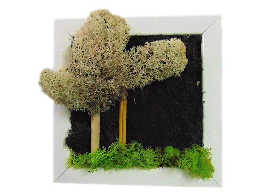 Quadro muschiato alberi - Sconti per Fioristi e Aziende . - cm. 20 x 20