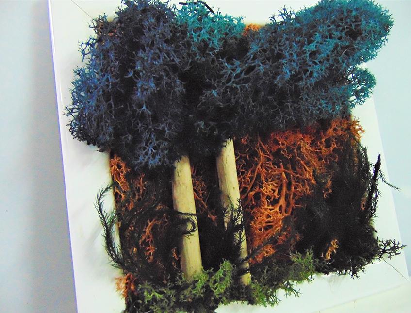Quadro muschiato alberi - Sconti per Fioristi e Aziende . - cm. 20 x 20