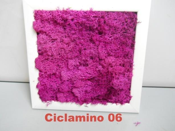 Pannello Moss cm. 40 x 40  - Soluzione personalizzabile - per ogni esigenza d'arredo interno