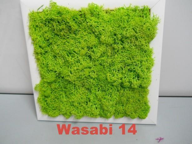 Pannello Moss cm. 40 x 40  - Soluzione personalizzabile - per ogni esigenza d'arredo interno