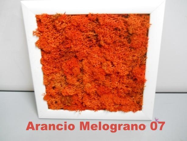 Pannello Moss cm. 40 x 40  - Soluzione personalizzabile - per ogni esigenza d'arredo interno