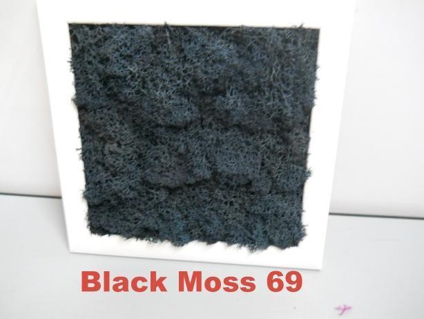 Pannello Moss cm. 40 x 40  - Soluzione personalizzabile - per ogni esigenza d'arredo interno