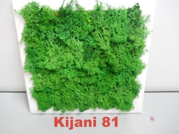 Pannello Moss cm. 40 x 40  - Soluzione personalizzabile - per ogni esigenza d'arredo interno