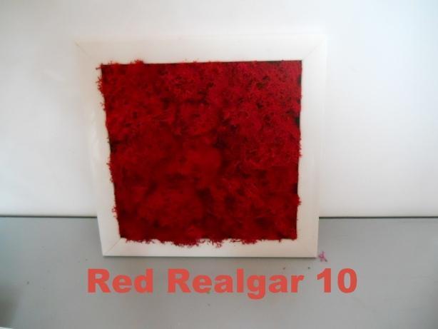 Pannello Moss cm. 40 x 40  - Soluzione personalizzabile - per ogni esigenza d'arredo interno