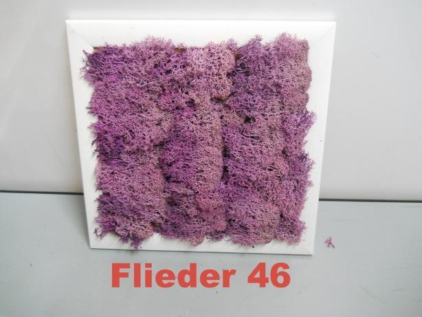 Pannello Moss cm. 40 x 40  - Soluzione personalizzabile - per ogni esigenza d'arredo interno