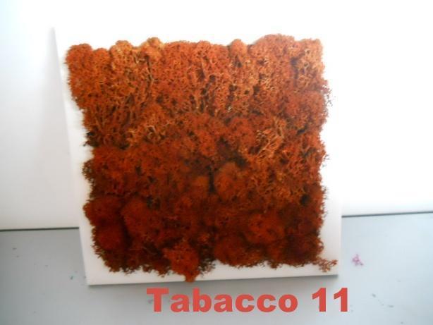 Pannello Moss cm. 40 x 40  - Soluzione personalizzabile - per ogni esigenza d'arredo interno