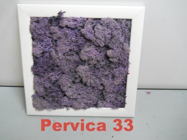 Pannello Moss cm. 40 x 40  - Soluzione personalizzabile - per ogni esigenza d'arredo interno