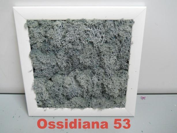 Pannello Moss cm. 40 x 40  - Soluzione personalizzabile - per ogni esigenza d'arredo interno