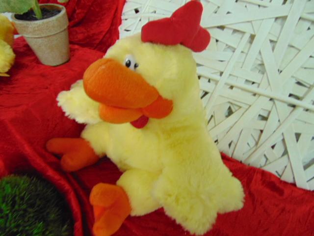 Gallo peluches H 40  con cerniera - Sconti per Fioristi e Aziende