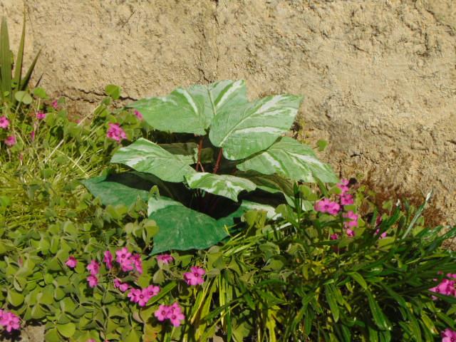 Pothos x 12 in poliestere - Sconti per Fioristi e Aziende . - Artificiale