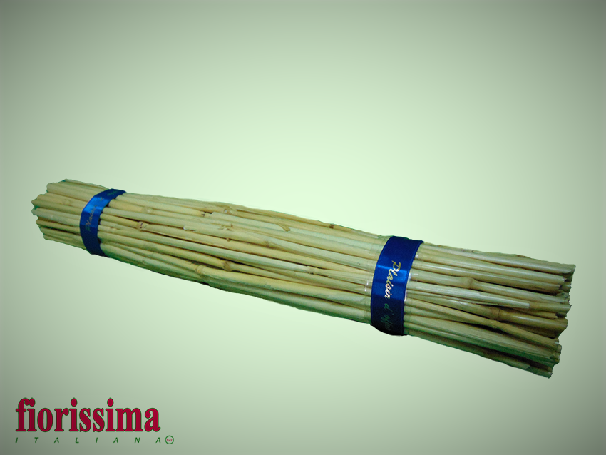 Fascina cm.32 Legata dm. 5 - Sconti per Fiorist e Aziende - Cannette di grano naturale