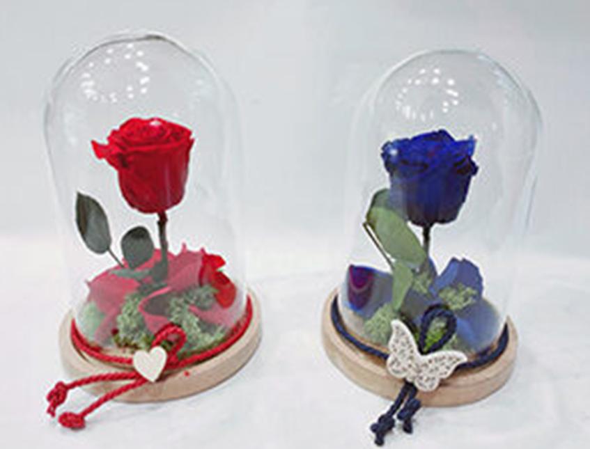 Campana Di Vetro Con Base In Legno - 12.5x8 Cm, Per Decorazione, Artigianato, Collezioni - Foto 2